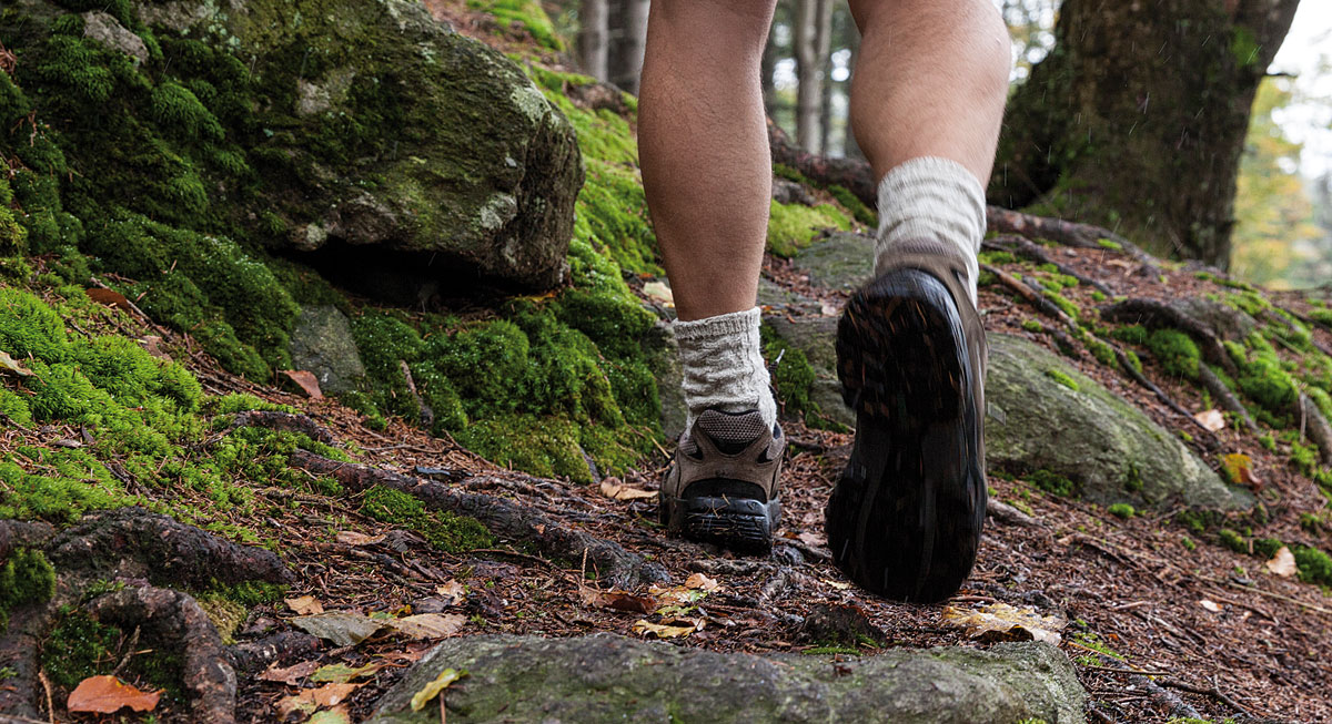 Wandern am Arber